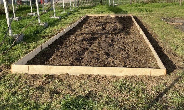 Création de potager partagé à Crolles avec des planches de sapins apport de terre végétale et de compost par votre entreprise de terrassement et d'aménagement extérieur
