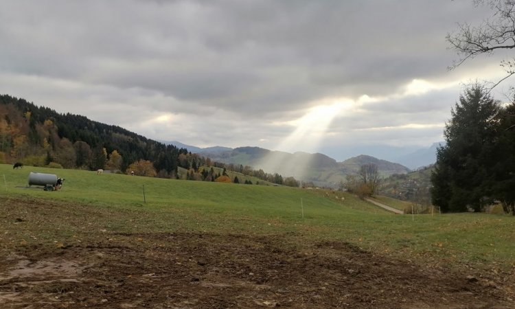 TERRA'PREST, assainisseur & terrassier entre Grenoble et Chambéry : Installation de cuve de récupération d'eau de pluie à La Pierre